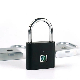 Safe Keyless Fingerprint Waterproof USB Rechargeable Electric Padlock Smart Lock