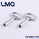 Zinc Alloy Cam Lock Key, Toolbox Lock Key, Cabinet Door Lock Key, Ms 705 Key, Triangle Key manufacturer