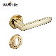  Vaisite 2022 Newest Popular Europe Style Modern Zamak Lever Handle on Rosette for Security Door