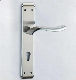 Wholesale Entry Push Pull Handle with Back Plate Mortise Lock Door Handle Set on Long Plate