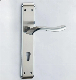 Wholesale Entry Push Pull Handle with Back Plate Mortise Lock Door Handle Set on Long Plate