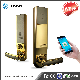  Bonwin Factory Price for Smart Zinc Online Mortise Door Lock