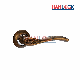 Fancy Aluminium Alloy Brass Front Door Handle Lock for Decoration