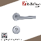 (SA-301) 304 Stainless Steel Satin Finish Level Handle with Lock