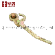 Factory Direct Sale OEM Steel Drop Forged Vehicle Component Trailer Angle Lever Lock with Handle