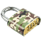 Hot Sale Fresh Order 4 Digital Word Padlock Combination 50mm Lock manufacturer