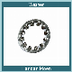  High Quality Zinc Plated Internal Tooth Lock Washer DIN6797 Flat Washer