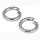  Stainless Steel Spring Lock Washer