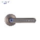  Handle Smart Lock/Simple Design/New Smart Fingeprint Door Lock Rose Handle Type