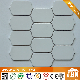  Various Color Available Wall and Floor Ceramic Mosaic (C655040)