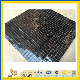 Black Galaxy Granite Mosaic for Indoor Decoration