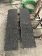 Dark Grey Granite New G684 Flamed for Swimming Pool