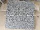  Chinese Grey Stone New G654 Granite Floor & Paving Stone