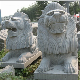 Granite Marble Stone Fountain Carving Lion Sculpture for Wall or Garden Decoration