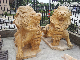 Lion Sculpture Hand Carving Yellow Marble for Home Decoration (SC-003) manufacturer