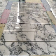  Arabescato White Marble, Marble Tiles and Marble Slabs