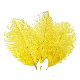  Fashion Any Color Is Available Fluffy Natural Dancer Decoration Wholesale Ostrich Feather