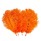 High Quality Cheap Price Smooth Wedding Colorful Ostrich Feathers