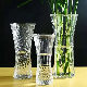 High Quality Different Types Transparent Glass Flower Vase for Home Decoration