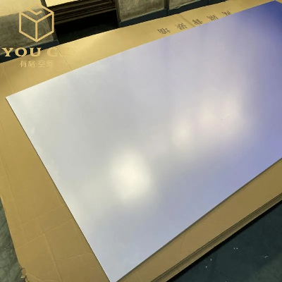 Colored Steel Surface High-End Waterproof Wall Panel