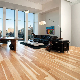  Spc Vinyl Click Flooring Factory Price PVC Plastic Flooring WPC Flooring UV Coating Simple Color Indoor 0.2-0.7mm 3.2-7.0mm
