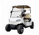  2 Seater Battery Operated Lead Acid or Lithium Powered Golf Cart Sightseeing Bus