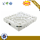  Hot Sale Bedroom Furniture Hotel Home Set Bed Polyester Protector Spring Mattresses Mattress