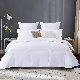 Summer Duvet for Cold and Warm Nights Various Sizes Comforters Quilts manufacturer
