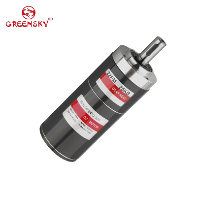 12V 24V BLDC Engine Brushless DC Gear Motor for Lawn Mower
