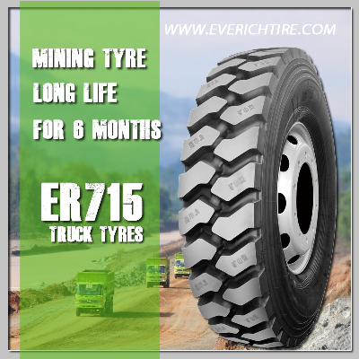 10.00r20 Kwik Fit Tyres/ National Tyres/ Truck Tire with Gcc Reach Bis