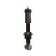  21111925 Factory Direct Supply Front Axle Shock Absorbers for Volvo Fh 16 1993- Fh 2005-