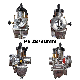  Motorcycle Parts Engine Carburetor for PE24 PE28 Nsr24mm Nsr28mm China Manufacture