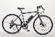  Europe Wasehouse Hot Sale Electric Bike 36V 200W