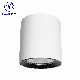 How Bright High Quality Modern 16W White LED Hotel Aluminum Surface Mounted Down Light manufacturer