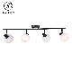 Wholesale 40W Multiple Heads Halogen Spotlight Good Quality Promotional Fashion Spot Light Ceiling Spot LED Lights Glass Iron Black Spot Lamp with E14 Socket manufacturer