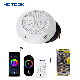 2.4G Wireless WiFi Voice Music Phone Control IP68 Colorful Change 12V LED Pool Light Bulb manufacturer
